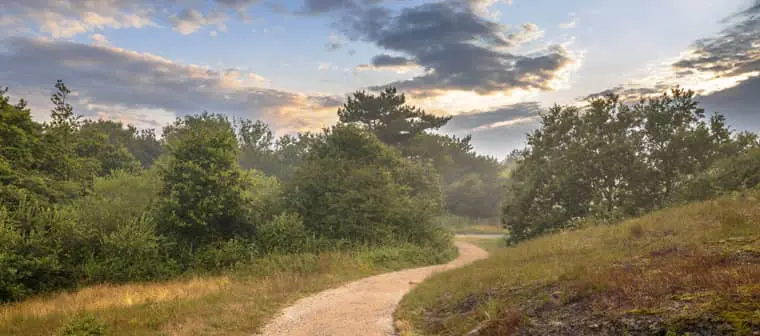 A hiking path meandering into the distance illustrates the idea of exploring Christianity.